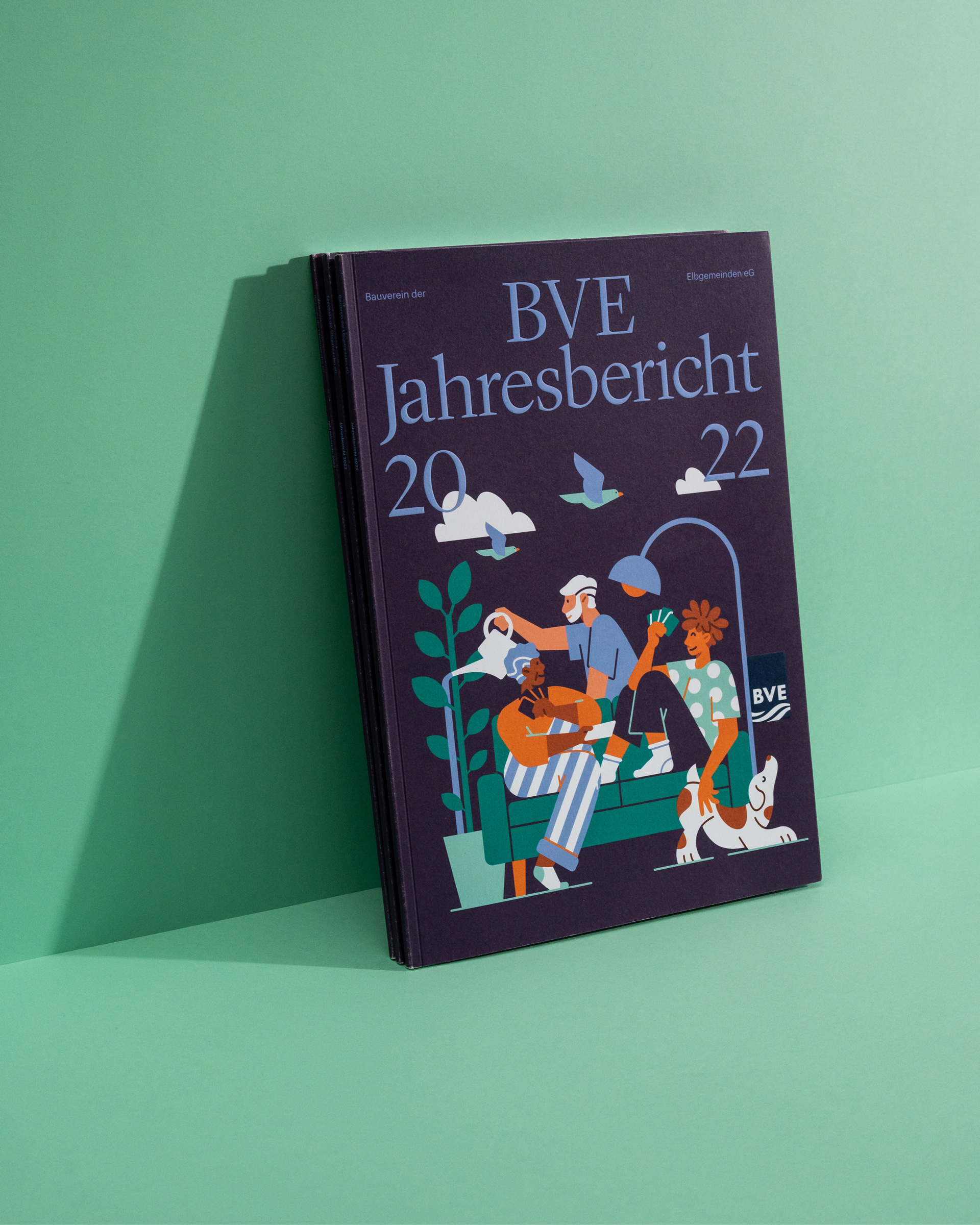 BVE – annual reports editorial design by EIGA 